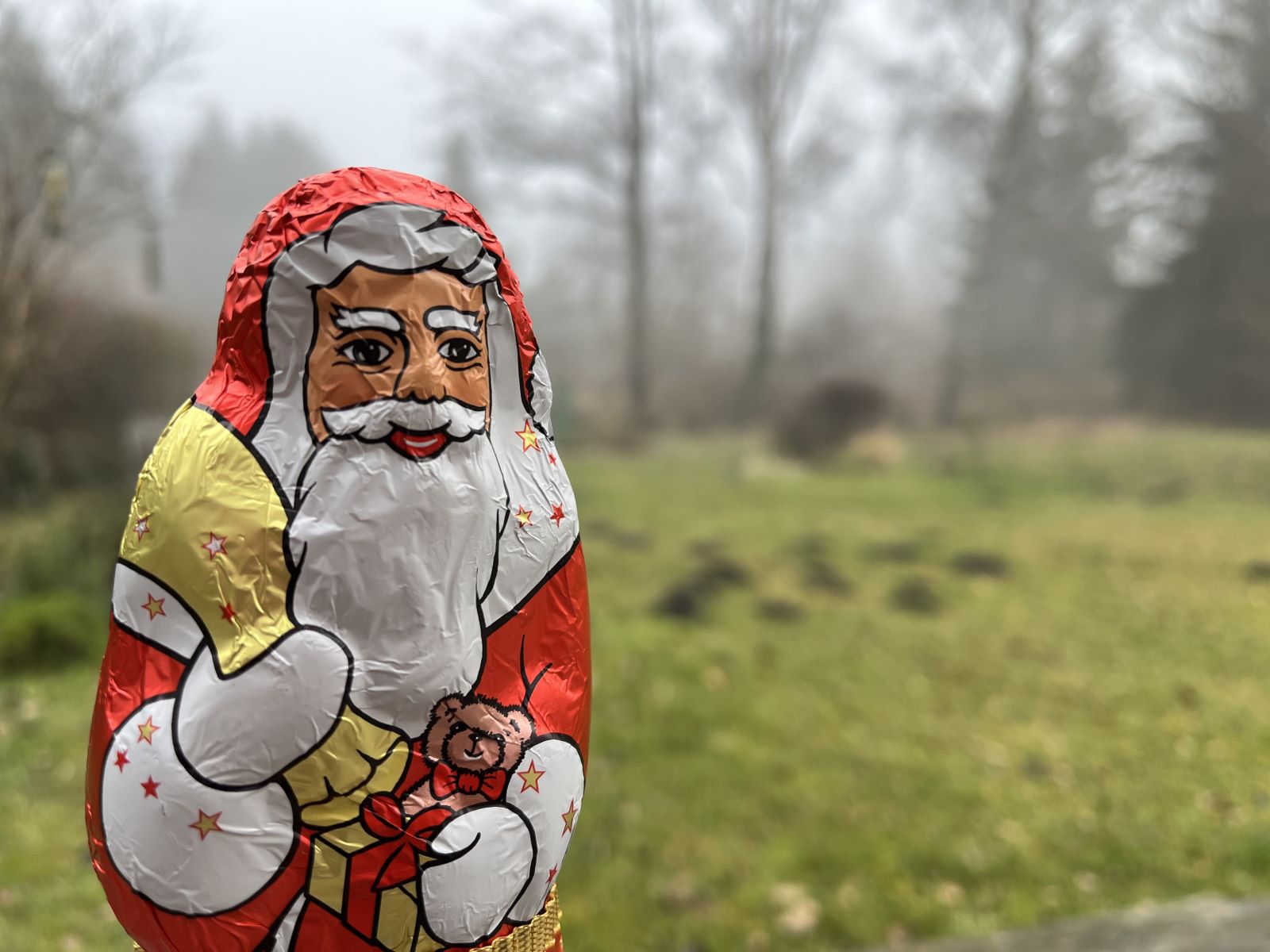 Weihnachtszeit und der Stress bei Herrsching Amnanda bei Weihnachtsstress in Wörthsee
